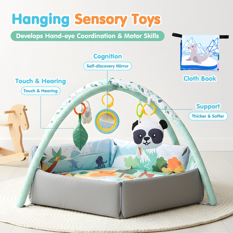 Advwin Baby Play Gym Mat 8-in-1 Tummy Time Mat & Ball Pit