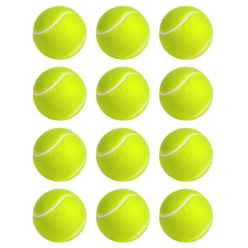 Advwin 12 Pack Exercise Playing Balls for Pet Dog