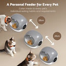 Advwin RFID Automatic Cat Feeder