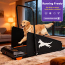 Advwin Electric Dog Treadmill for Small & Medium Dogs