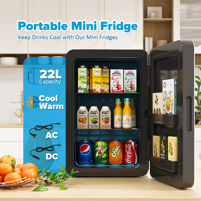 Advwin 22L AC/DC Portable Fridge Mini Refrigerator