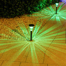 Advwin Solar Pathway Lights 8 Pack Auto On/Off