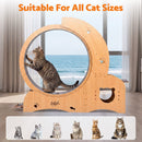 Advwin 4-in-1 Cat Exercise Wheel Large Cat Treadmill
