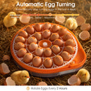 Advwin 26 Eggs Incubators with Smart Voice Control