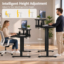 Advwin Wing Shaped Electric Standing Desk w/ LED Lights