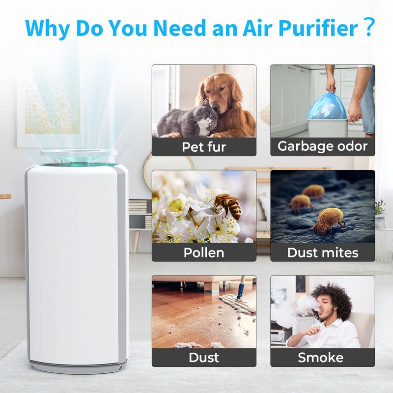 Advwin Air Purifier for Home Large Room