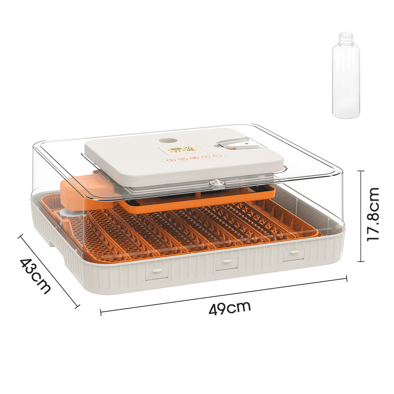 Advwin 56 Eggs Incubator with Temperature Control
