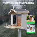 Advwin Smart Bird Feeder Solar Powered with AI Camera