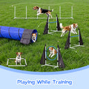 Advwin Dog Agility Training Equipment Set (Pre-Order)
