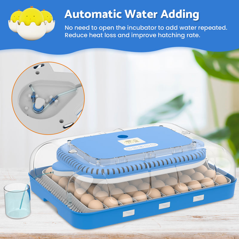 Advwin 70 Eggs Incubator Automatic Egg Turning(Pre-order)