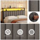 Advwin Queen Bed Frame with RGB LED & Charging Station