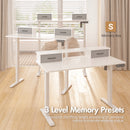 Advwin Electric Standing Desk with Monitor Stand  White
