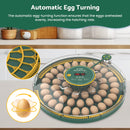 Advwin 52 Eggs Incubator with Temperature Control