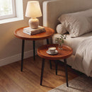 Advwin Walnut Nesting Coffee Tables Set of 2