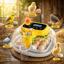 Advwin 16 Eggs Incubators with Auto Water Refill