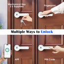 smart door lock​