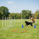 Advwin Agility Training Equipment for Dogs