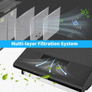 Advwin 60cm Range Hood Black