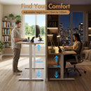 Advwin 120x60cm Electric Standing Desk Height Adjustable
