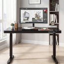 Advwin Electric Standing Desk with Drawer Glass Desktop (Pre-Order)