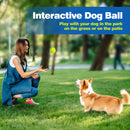 Advwin 12 Pack Exercise Playing Balls for Pet Dog