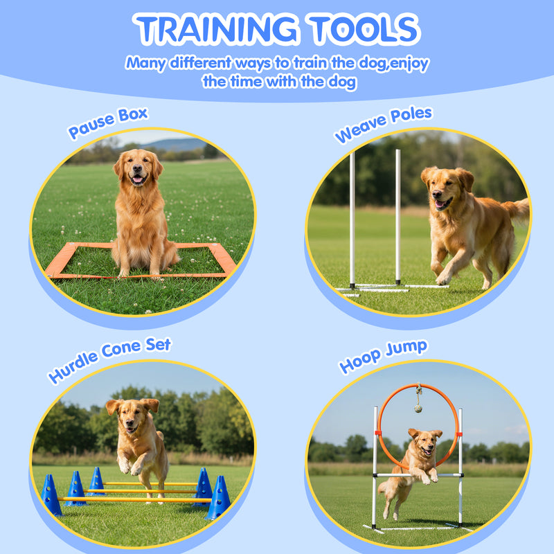 Advwin Agility Training Equipment for Dogs