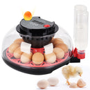 Advwin 12 Eggs Automatic Incubator for Hatching