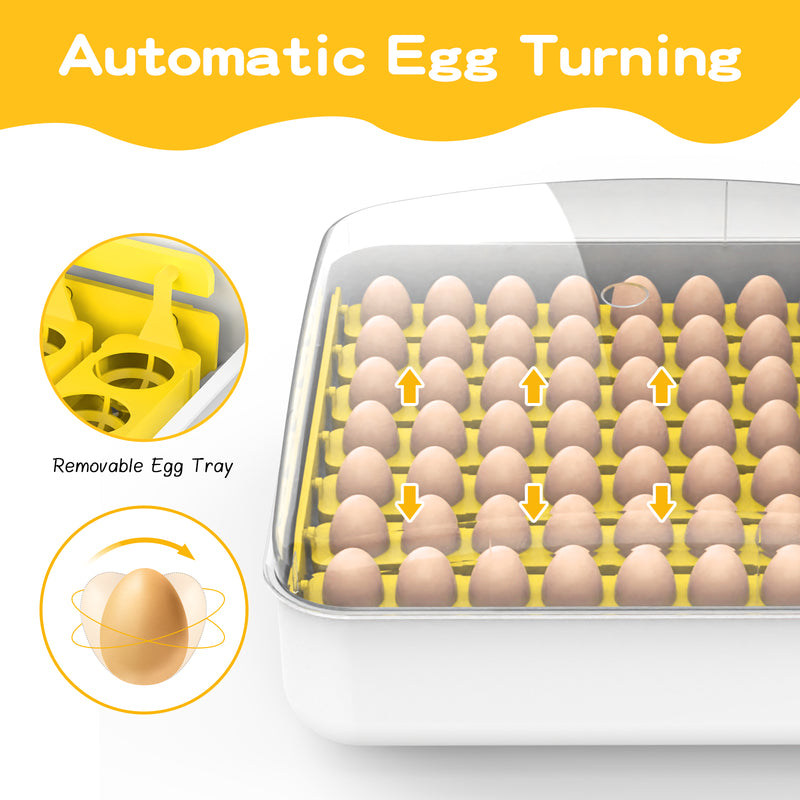 Advwin 56 Egg Incubator Automatic Turning