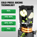Advwin  Cold Press Juicer with Ice Cream Strainer