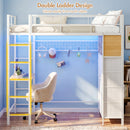 Advwin Metal Loft Bed Frame with Desk & Charging Station