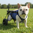 Advwin Small Dog Wheelchair for Disabled Pets