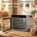 Advwin 6 Trays Food Dehydrator with 10 Jerky Hooks