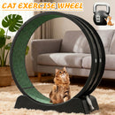 Advwin Cat Running Exercise Wheels with Latch