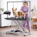 Advwin Electric Lift Pet Dog Grooming Table (Pre-Order)