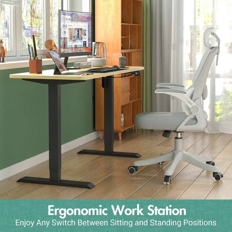 Advwin Adjustable Height Electric Standing Desk