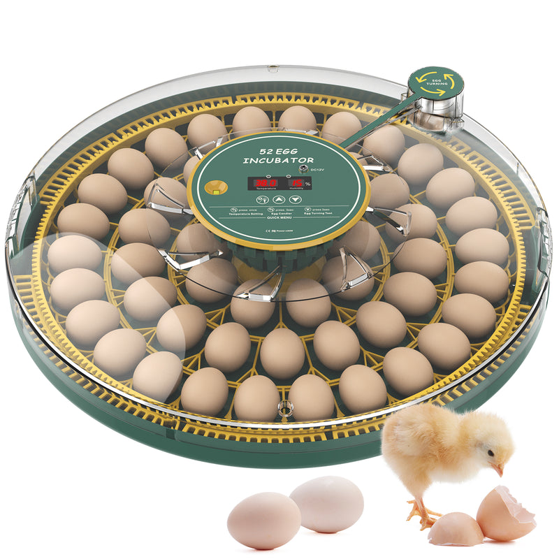 Advwin 52 Eggs Incubator with Temperature Control