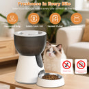 Advwin 2-in-1 Automatic Cat Feeder and Water Fountain