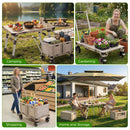 Advwin 3-in-1 Multi-Purpose Foldable Camping Cart