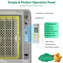 Advwin 36 Eggs Incubator with Automatic Turner (Pre-Order)