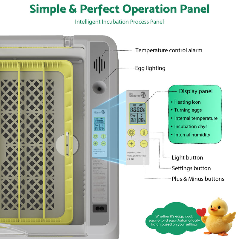 Advwin 36 Eggs Incubator with Automatic Turner