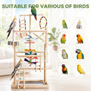 Advwin 4 Tier Parrot Play Stand with Tray