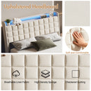 Advwin Floating Bed Frame with LED Lights