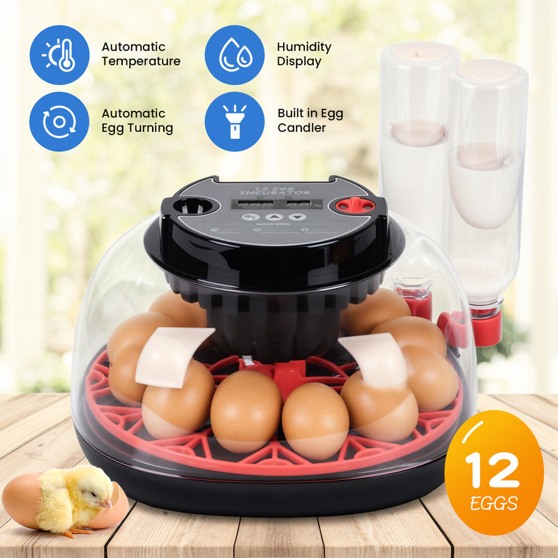 Advwin 12 Eggs Automatic Incubator for Hatching