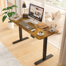 Advwin Electric Standing Desk  Adjustable Height 120cm