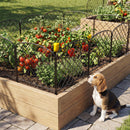 Advwin 10 Panels Metal Garden Fence Animal Barrier (Pre-Order)