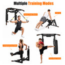 Advwin Wall Mounted Pull Up Bar & Dip Station