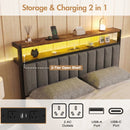 Advwin Queen Bed Frame with RGB LED & Charging Station