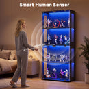 Advwin 4-tier Rounded Glass Display Cabinet