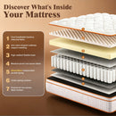 Advwin 34CM Double Mattress with Individual Pocket Springs
