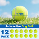Advwin 12 Pack Exercise Playing Balls for Pet Dog